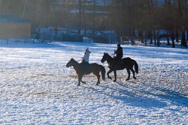 如要选一个冬季最佳拍雪景的地方,首选一定是它