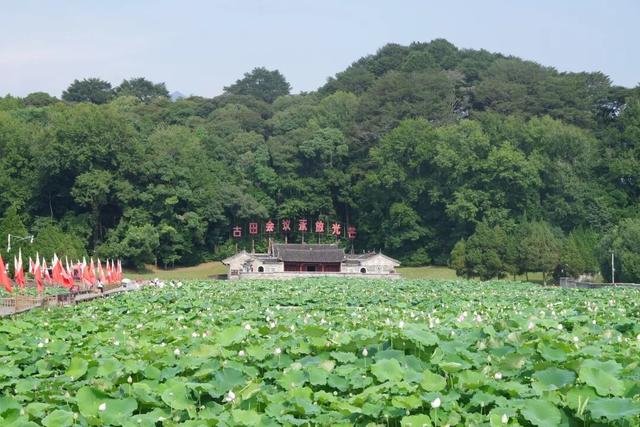 行程随心配，15天能去这些地方！包括……