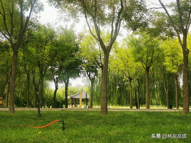 探寻衡水前马庄：下博孔氏郡望的发祥地