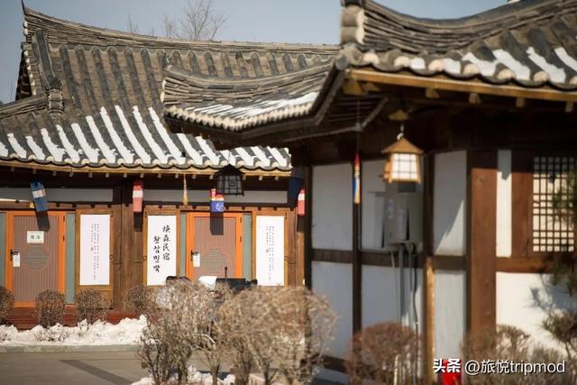 花筑般蓝 | 引客入延！用品质邀你赴一场延吉之约