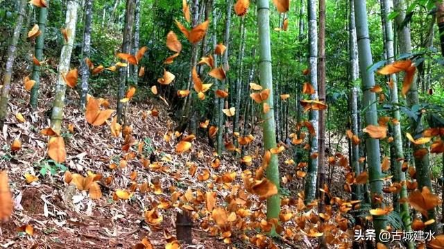 今天,红河州68岁了!