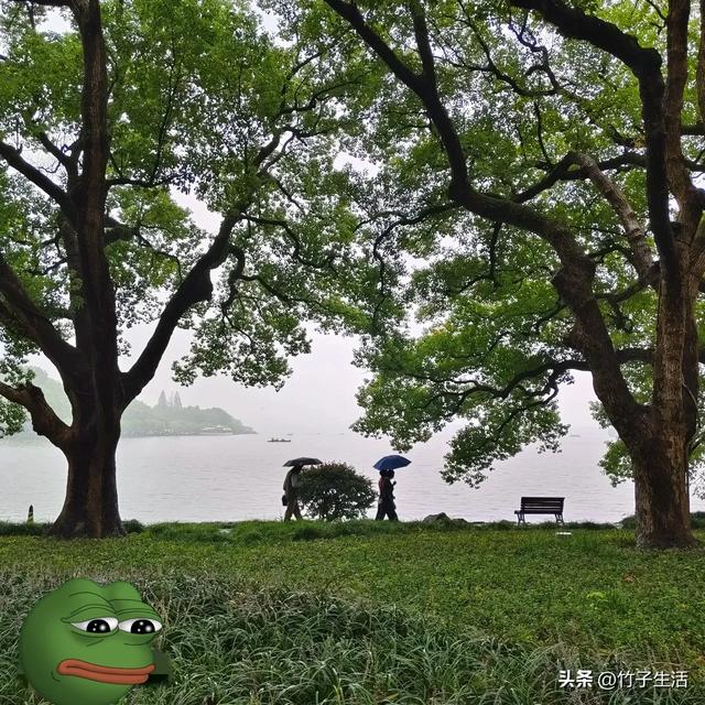 你有没有发现：父母有退休金的家庭，基本都有这几种共性