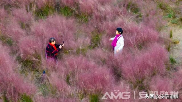 随手一拍都是大片!安阳深秋限定美景已上线→