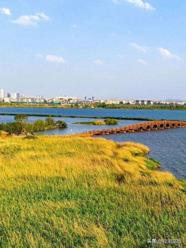 往返接驳+15分钟绿道直达赛点，给你的上合昆马开局加点“顺”~