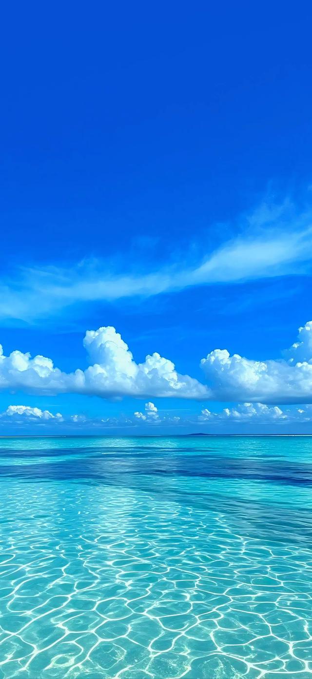 手机壁纸|海边的自然风景