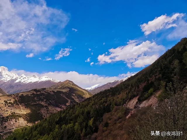 理小路环线今日风景！