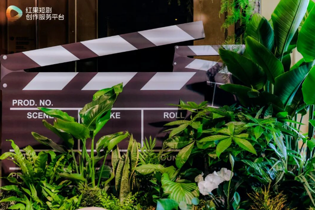 免费模式杀疯了！红果短剧逆袭成老大，带货能成下一张王牌？