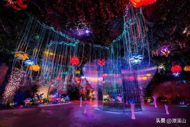 再获省级荣誉！潭溪山以“服务+营销”双轮驱动赋能，打造文旅高质量发展新标杆