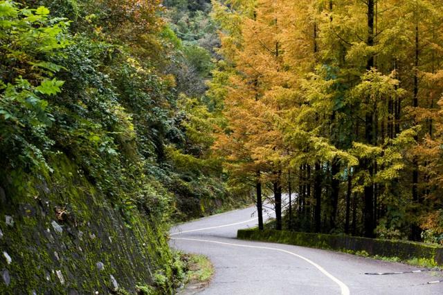 赵山、邹本伟、燕海潮徽县风光摄影作品