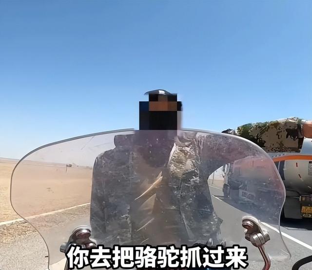 打游客男子社会性死亡！青海文旅一年又白干，牧民被扒，难怪嚣张