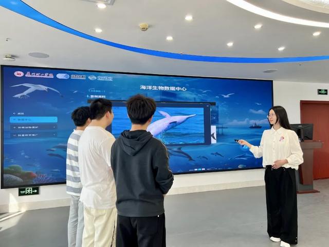 5G+AI”织就白海豚的“数字守护网
