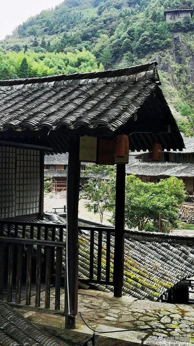 被两条绝美瀑布包围的世外桃源!温州真正的原始秘境