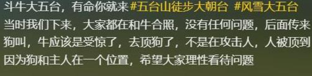 五台山一游客被牛群撞倒围攻，景区回应