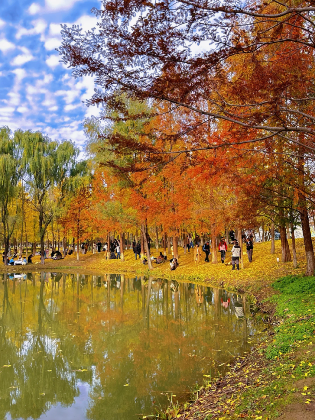 西安城区4个绝美秋景打卡地！