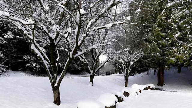 《南北雪色，皆是故乡》