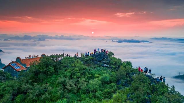 我在阳山过暑假｜夏日来阳山，在绿美生态中感受诗意清凉