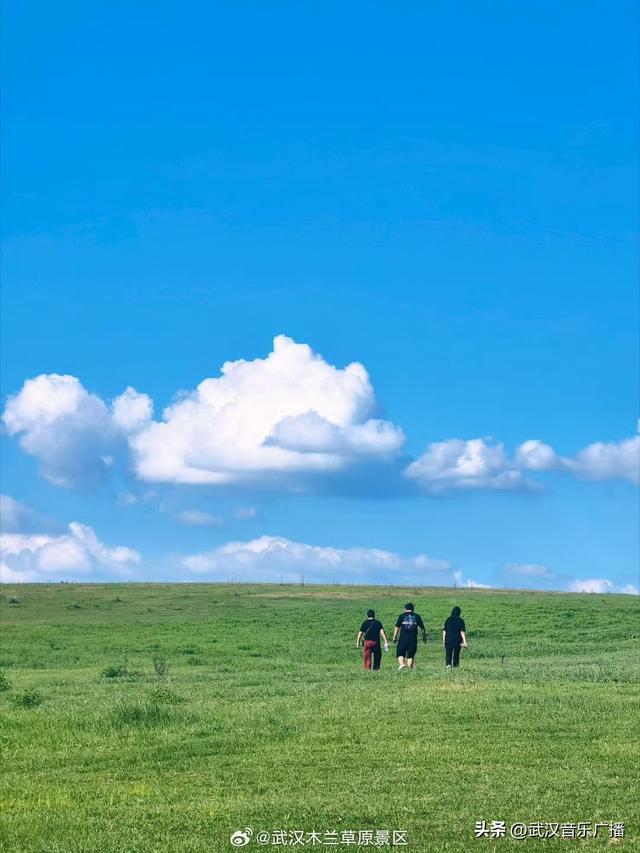 像云朵收集晨光般柔软