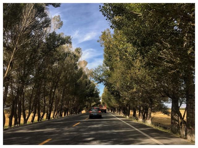 旅游美景怎么玩才不踩坑？这些挑选和拍摄秘诀让旅行更深刻