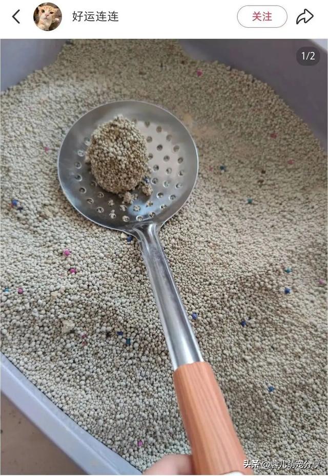 妹子去买饺子，突然发现铲饺子的铲子很眼熟，养猫人看了都沉默了