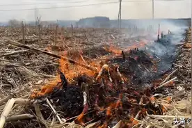 东北继续焚烧秸秆，因为要提高土地质量，提高产量，民以食为天图片