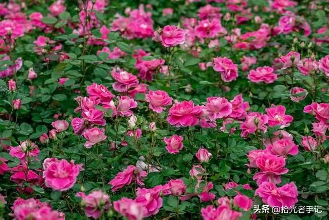 18句人生经典句子：一句话，一种心境，哪句戳中了你？