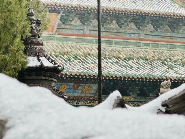 久等了！运城城景通新春免费版，上线！