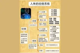 人体经络全解析：从十二经脉到奇经八脉的奥秘图片
