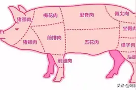 过年了，教你了解猪身上最好吃的肉排行，后腿肉倒数，五花肉第二图片