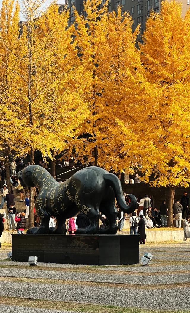 西安周末游丨这8个免费赏银杏叶好去处