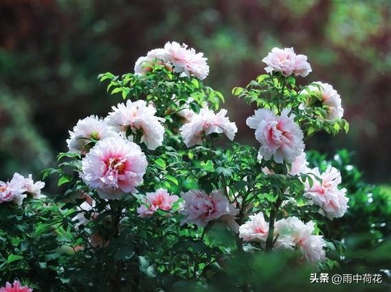 晚年苦不苦，全看七十五：这4手备好，余生安稳舒心