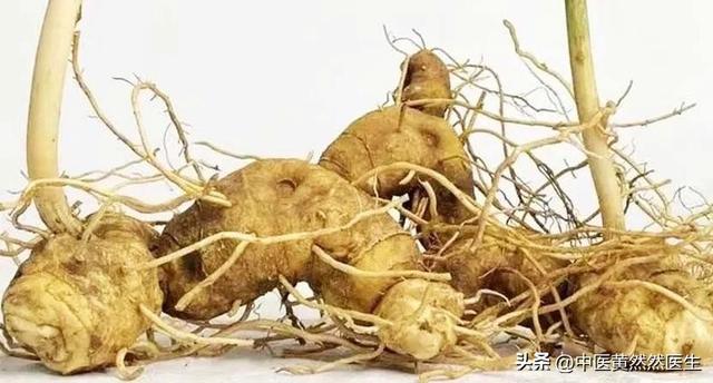 黄精巧搭配，养肺、健脾、补肾，全身都受益！