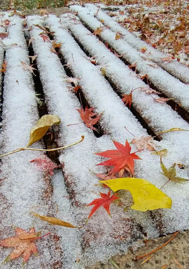 “最怕大雪一日晴”，今日大雪	，为啥怕？冬天冷不冷？早看早知道