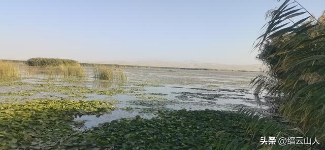 大美新疆声乐组曲•博斯腾湖畔之歌