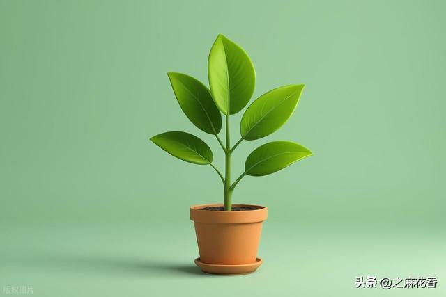 我的2025退休生活是这样过的