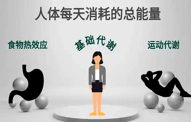 代谢快了，自然就瘦了！提高代谢：少吃这4种碳水，多做这4件事