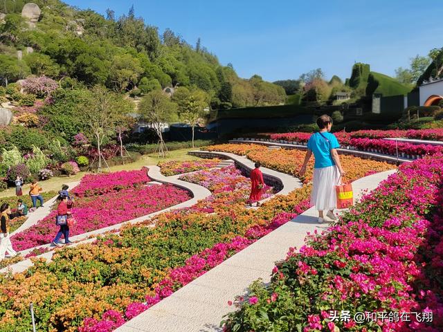 厦门植物园：邂逅自然的绮梦