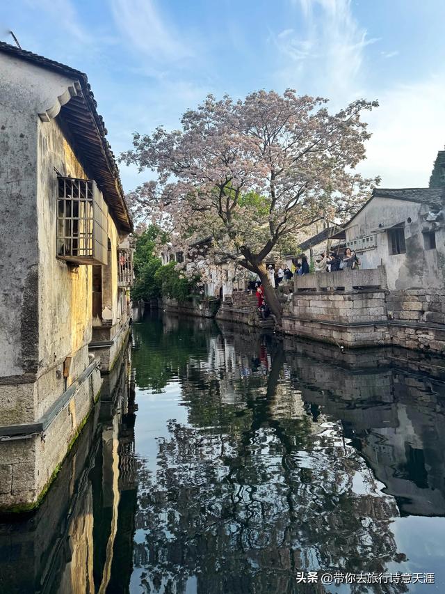 绍兴仓桥直街漫步，不要错过了邻近的城市广场