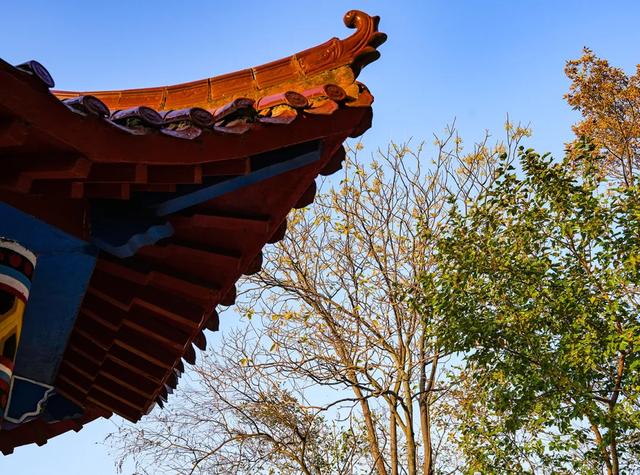 免费打卡明光女山,人少景美超级治愈~