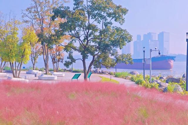 江北“粉粉哒”打卡地图~请查收