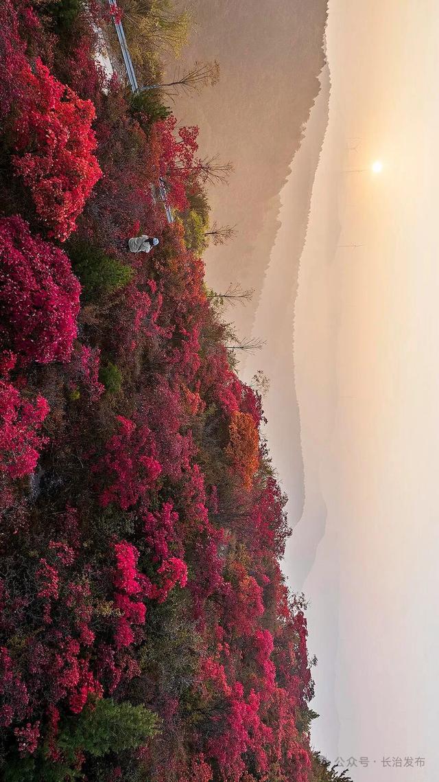 寻色三晋·山河入画｜太行一号旅游公路：在红叶云海间，驶入秋日的山水长卷