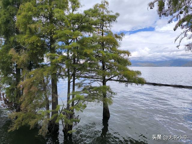 去了一趟云南大理，真心建议，这些地方都可以去打卡
