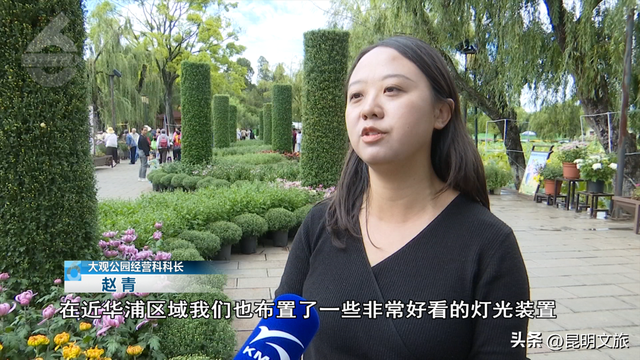 国庆不必远行！大观楼菊花瀑布美成仙境了！10月1日开幕→