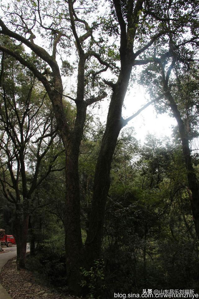 瞻仰白鹿洞书院[一] （江西之旅第十三篇）