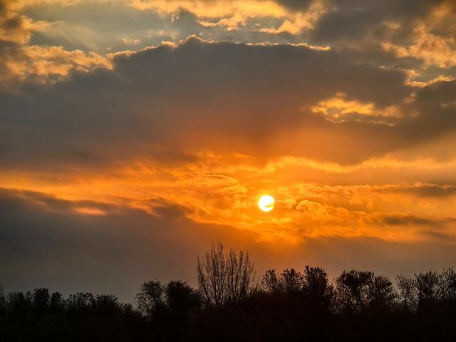 朝看芦苇夕望鸟：爱了！鸢都湖一天最美的两个时刻