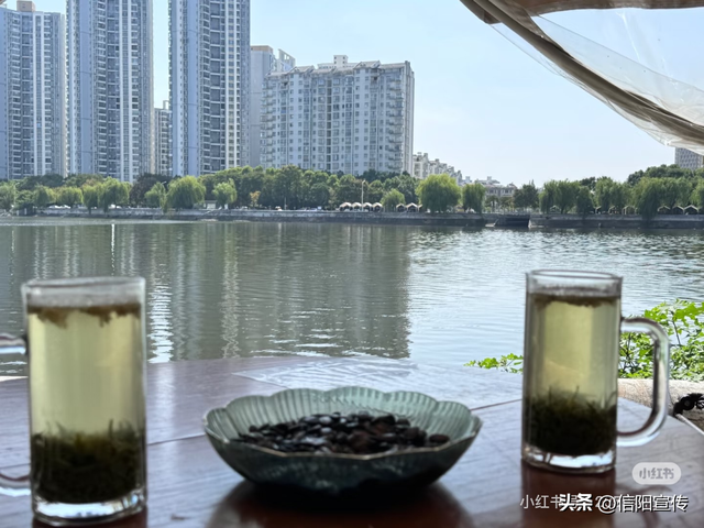 辞家千里，最念是信阳