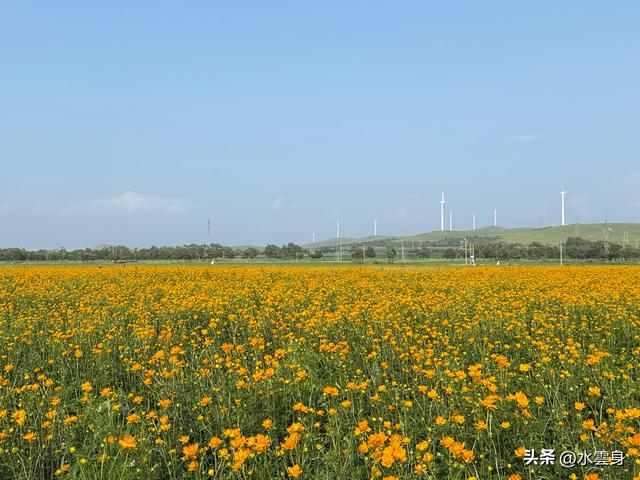 向北而行：北京自驾沽源、多伦、太仆寺旗的草原牧歌（1）