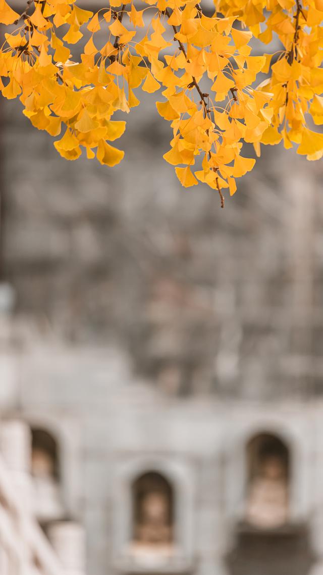 遇见秋天