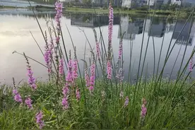 Gay和直男的区别图片