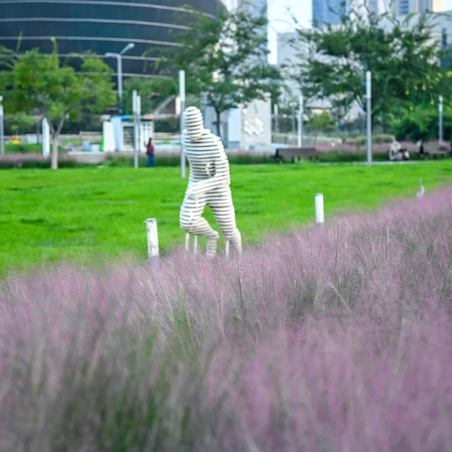 拿捏秋日氛围感？济南这些免费花海，教你轻松圈“粉”！
