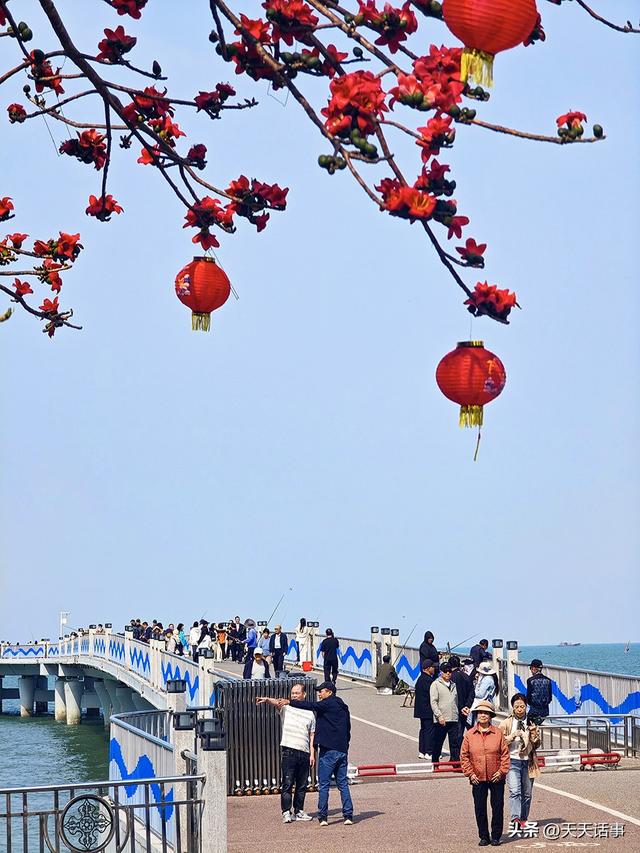 北海最美的环半岛慢行绿道迎来第一春，美爆了！